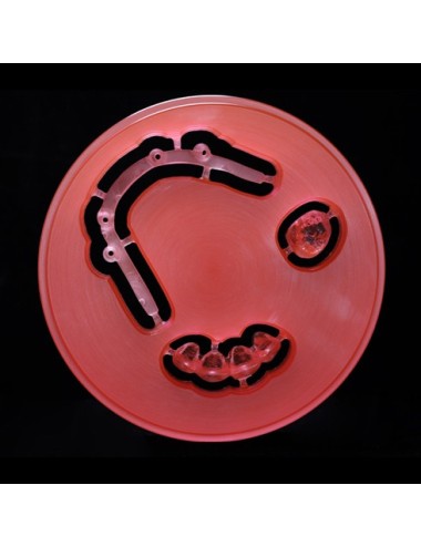 Portux Pmma CAD CAM Disc...